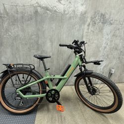Radster Off-Road E-Bike