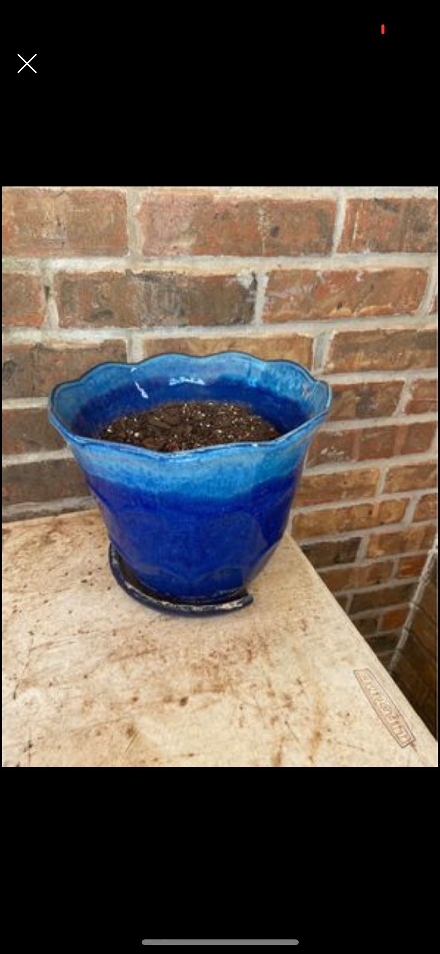 Planting Pot 