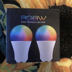 Color Changing Light Bulb 