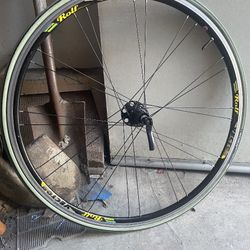 Bike Rims
