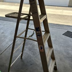 Werner Ladder 