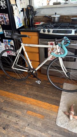 700c single speed Windsor road bike $100