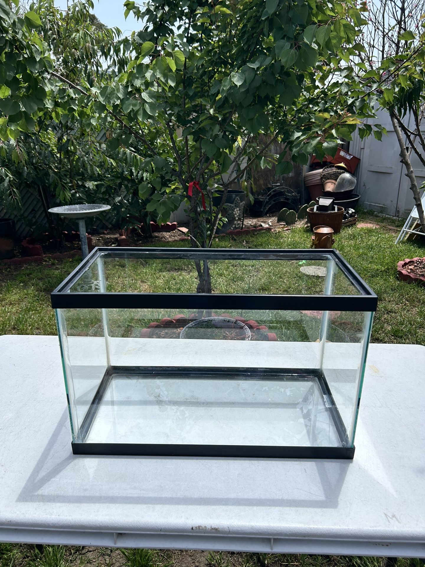 10 Gallon Fish Tank/ Fish Tank