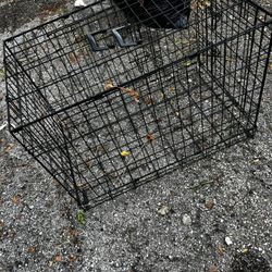 Dog Kennel