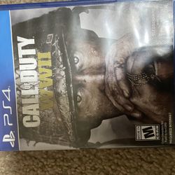 Call Of Duty WW2 (With Disk)
