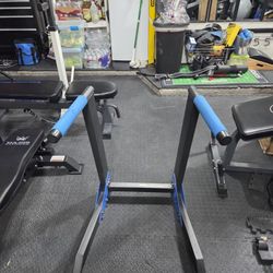 Fuel Performance Dip Station 