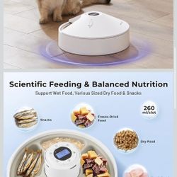 Pet Feeder Cats Wet Food Dry Food Container Cooling