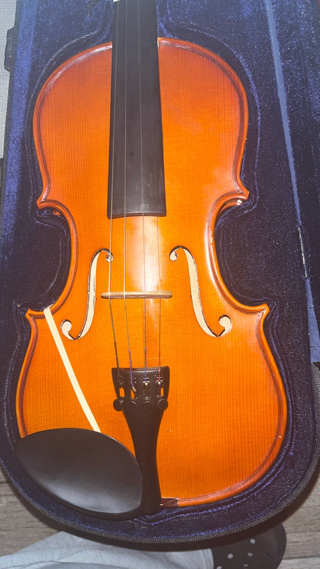 Violin