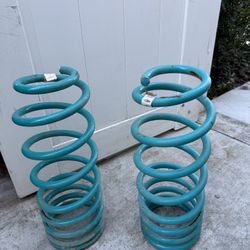 DOBINSONS SUSPENSION COIL SPRINGS PAIR 