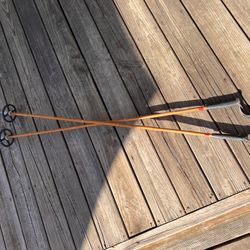 Antique Bamboo Ski Or Snowshoe Poles