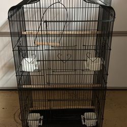 Birds Cage 