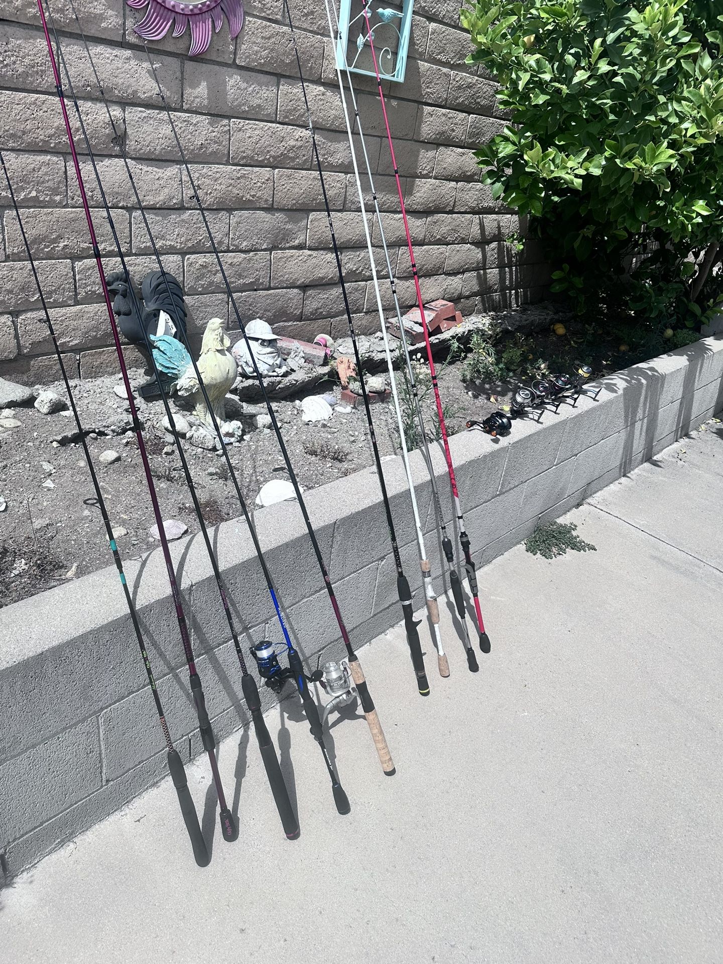 SUMMER FISHING SALE