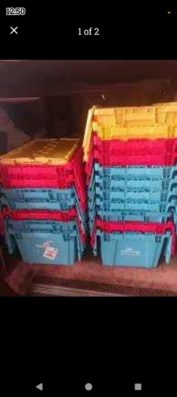 Large And Xl Totes Storage Crates Bins