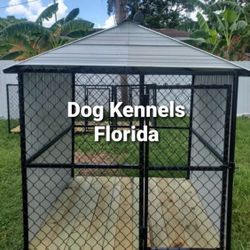 Dog Kennels Florida 