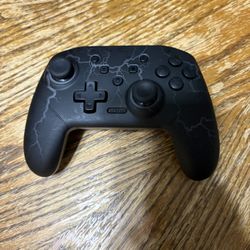 Nintendo Switch Controller 