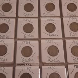 🦬30. Buffalo nickel🦬