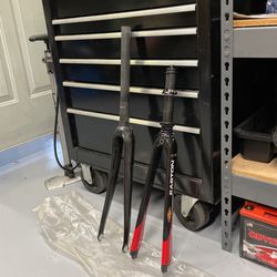 Carbon Forks 700c Rim Brake