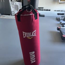 Punching bag 