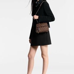 Louis Vuitton Cluny Mini Damier Ebene