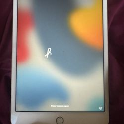 iPad Mini air 4th gen