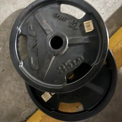 Two 35lb Weight Plates