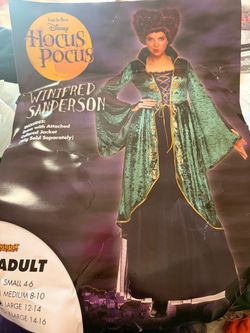 Winifred Sanderson Costume