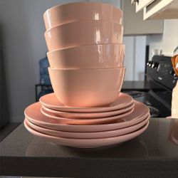 Pink Plates and Pink Utensils