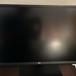 Lg 31 Inch Monitor 