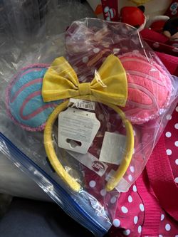 Never used Disney ears