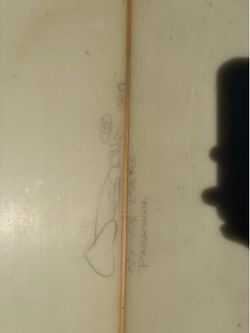 Wisdom Surfboard