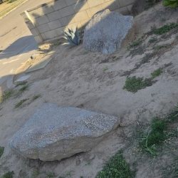 Free Landscaping  Bolders