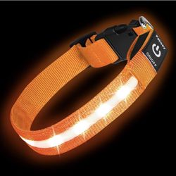 PetIsay Light Up Dog Collar - High Visibility & Durable Nylon Material - USB C Rechargeable & Waterproof LED Dog Collar For Night Walking,Lighted Dog 