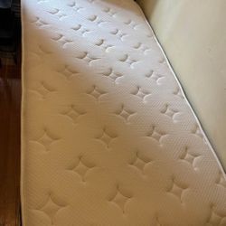 Twin Size Mattress 