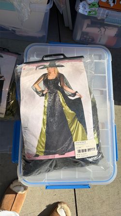 Halloween witch costume
