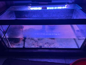 40 gallons tank