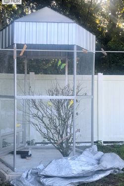 Bird Cage
