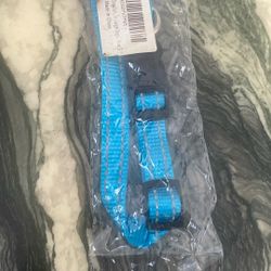 Blue Small Dog Collar
