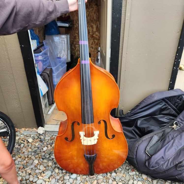 Samuel Eastman VB80 3/4 Upright Double Bass