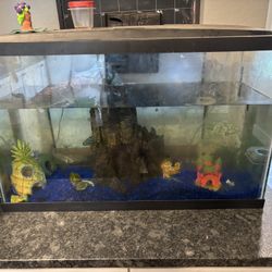 Aquarium