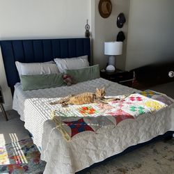 Queen Upholstered Platform Bed Frame w/ Navy Blue Velvet Channel Tufting