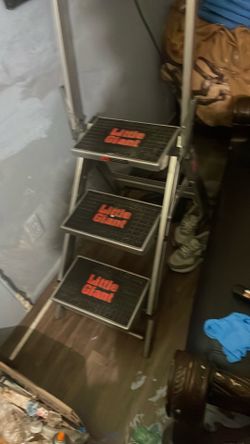 Little giant ladders