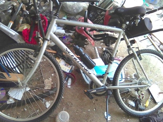 Schwinn Bike