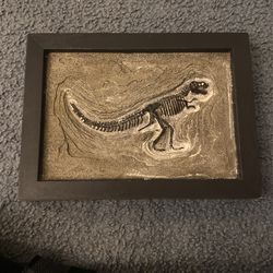 Tyrannosaurus Rex Skeleton
