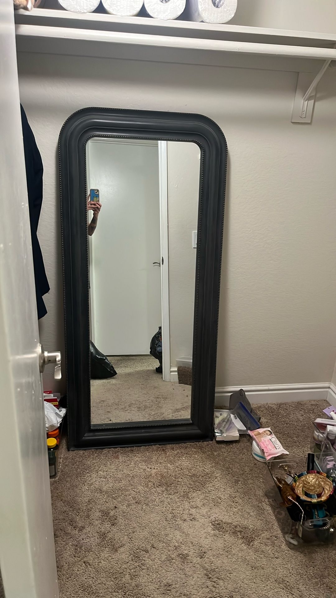 FREE Full Body Mirror