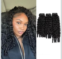 Water Wave 3Pcs Burmese Curly Bundles Human Hair Extensions for Women (14 16 18 Inch, Natural Black)#21