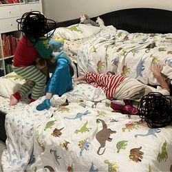 Designer Daybed with pull out trundle