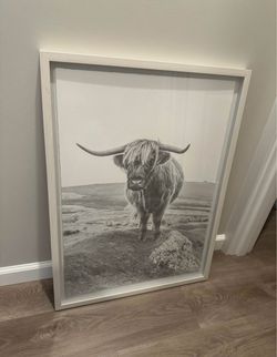 highland cow picture frame