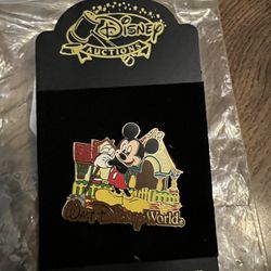 Disney World Pin