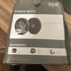 Everlast Punch Mitts 