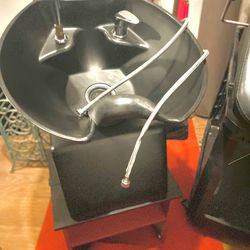 Professional shampoo, bow, and chair for sale
